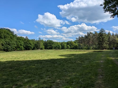 Apollinaris-Schleife (Premiumwanderweg)