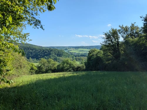 Apollinaris-Schleife (Premiumwanderweg)