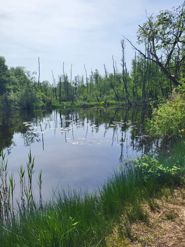 Tackenbendener-Runde (Premium-Spazierwanderweg)