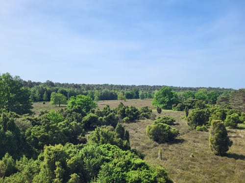 Tackenbendener-Runde (Premium-Spazierwanderweg)
