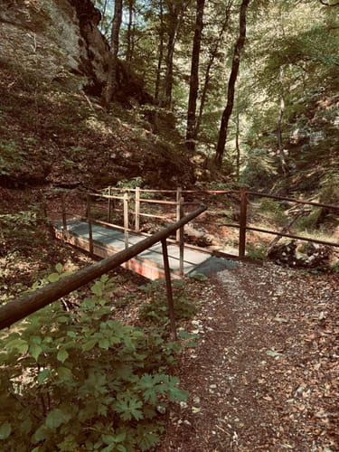 Hossinger Leiter (Premiumwanderweg)