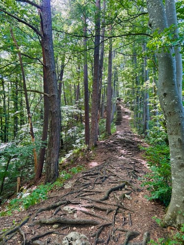 Hossinger Leiter (Premiumwanderweg)