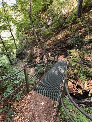 Hossinger Leiter (Premiumwanderweg)