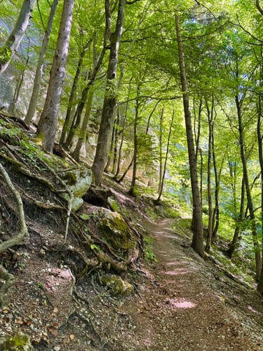Hossinger Leiter (Premiumwanderweg)