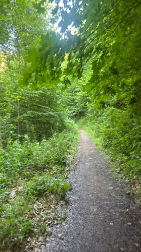 Daun – Rund um die Kraterseen