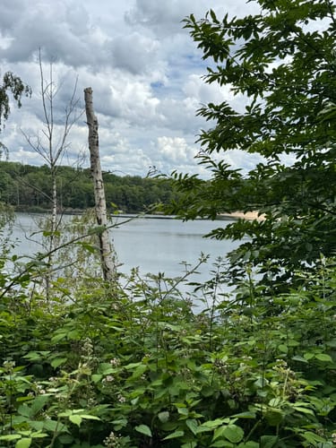 Dünnwald - Naturschutzgebiet am Hornpottweg - Von-Diegardt-See