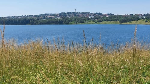 Seen-Rundweg Borken