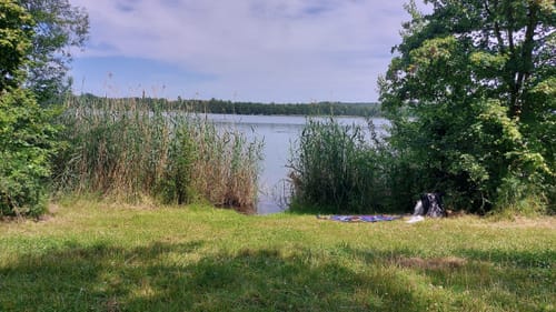 Seen-Rundweg Borken