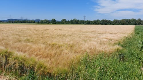 Seen-Rundweg Borken