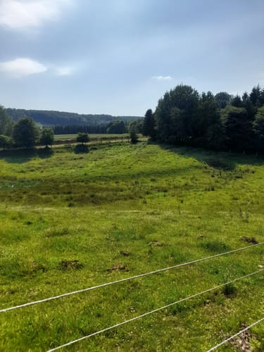 Bad Iburg und Lienenerberg Rundweg im Teutoburger Wald