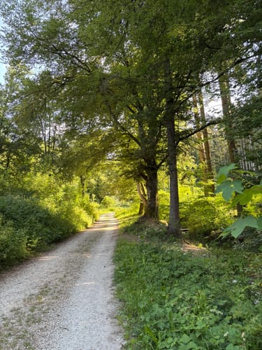 Hossinger Leiter (Premiumwanderweg)
