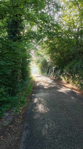 Premiumwanderpfad: Bergschluchtenpfad Ehrenburg