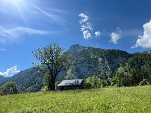 Urwies to Steiner Alm