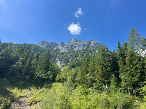 Urwies to Steiner Alm