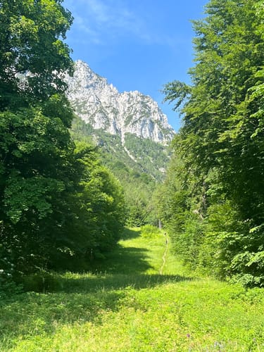 Urwies to Steiner Alm