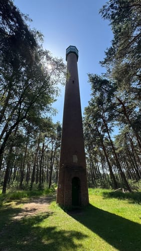 Brachterwald