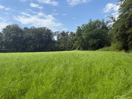 Landrat Lucas Weg Runde