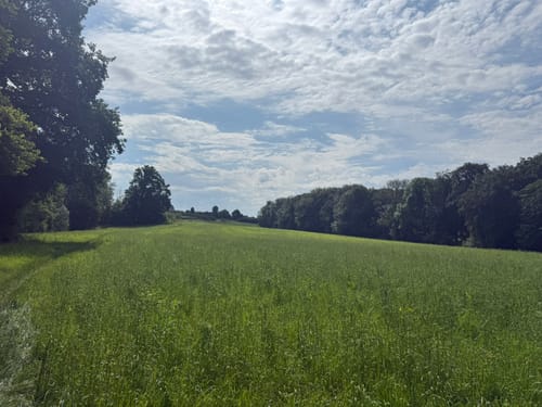 Landrat Lucas Weg Runde