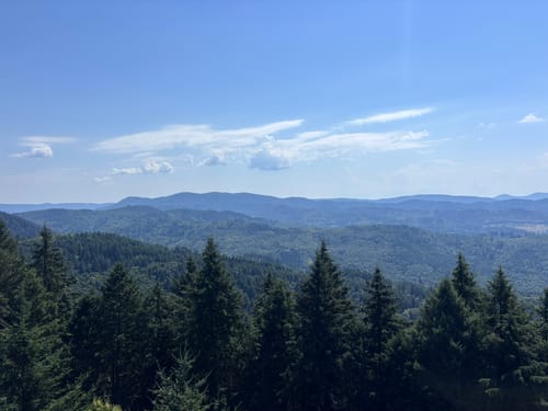 Fessenbach Ortenau - Hohes Horn Offenburg
