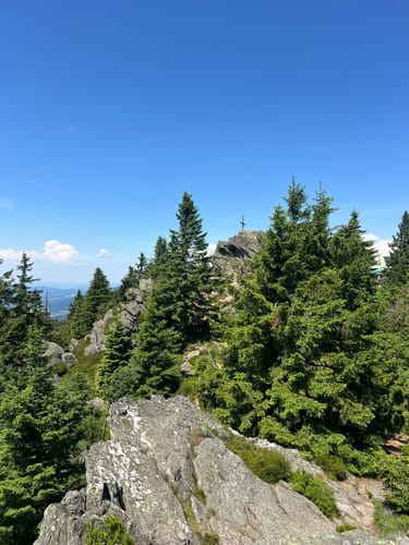 Osser-Riesen-Steig (La03)