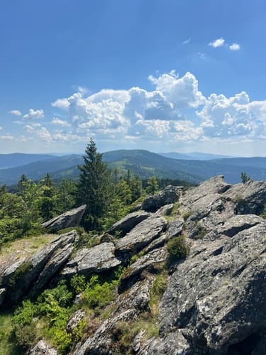 Osser-Riesen-Steig (La03)