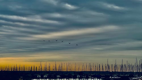 Steinhuder Meer Rundweg