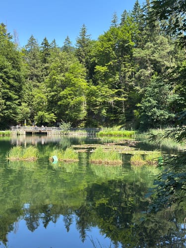 Hechtsee - Längsee - Prillsee