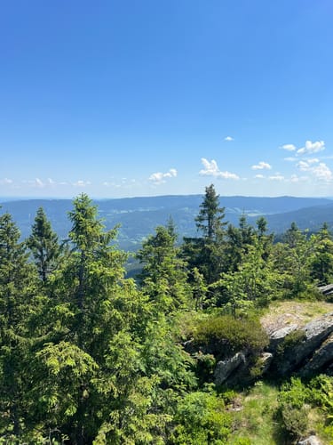 Osser-Riesen-Steig (La03)