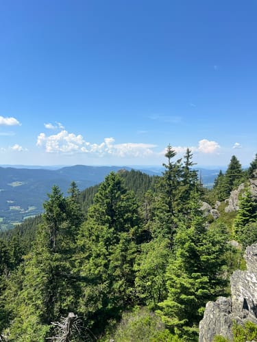 Osser-Riesen-Steig (La03)
