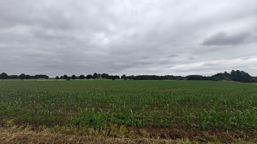 Waldschenke - Windmühlenweg