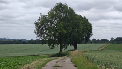 Waldschenke - Windmühlenweg