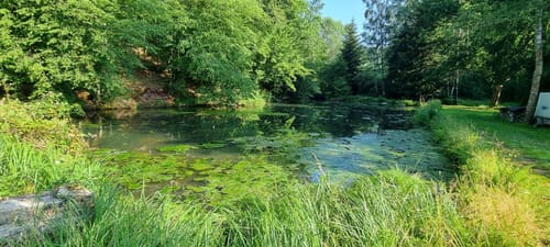 Erlenbach - Oberschlettenbach - Vorderweidenthal