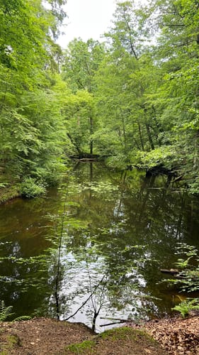 Rundweg Wohldorf - Duvenstedt
