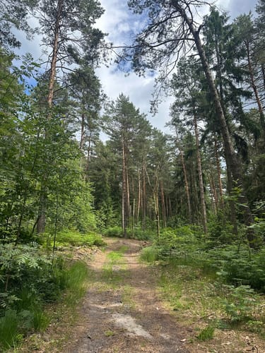 Auf den Kleinen und Großen Zschirnstein