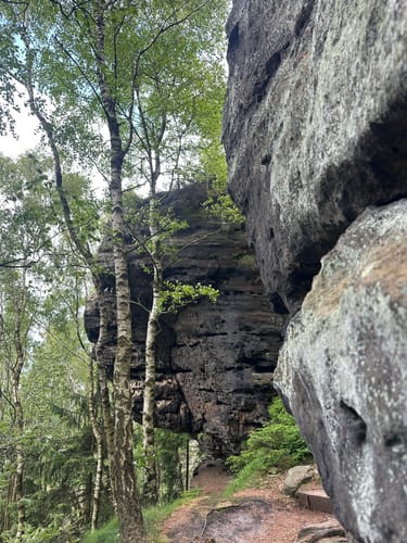 Auf den Kleinen und Großen Zschirnstein
