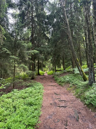 Auf den Kleinen und Großen Zschirnstein