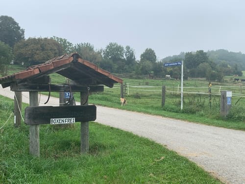 Wörthsee: Bachern - Schlagenhofen