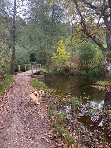 Wörthsee: Bachern - Schlagenhofen