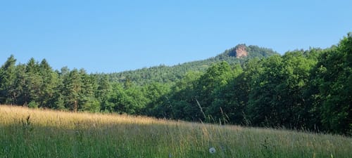 Erlenbach - Oberschlettenbach - Vorderweidenthal