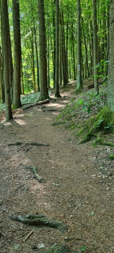 Erlenbach - Oberschlettenbach - Vorderweidenthal