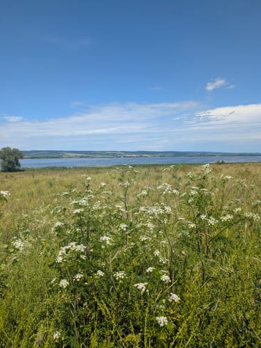 Runde um Talsperre Kelbra