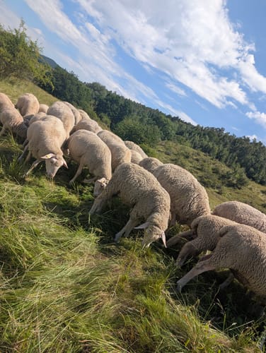 Runde um Talsperre Kelbra