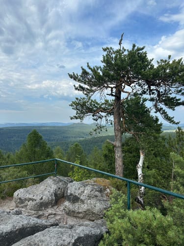 Lampertsstein - Schneebergaussicht - Kohlberg