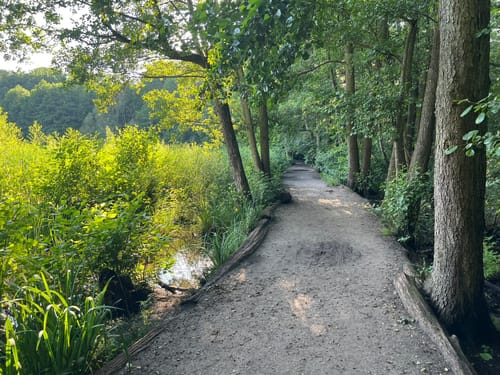 4-Seen-Tour im Grunewald