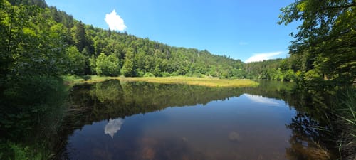 Blechen aus dem Münstertal