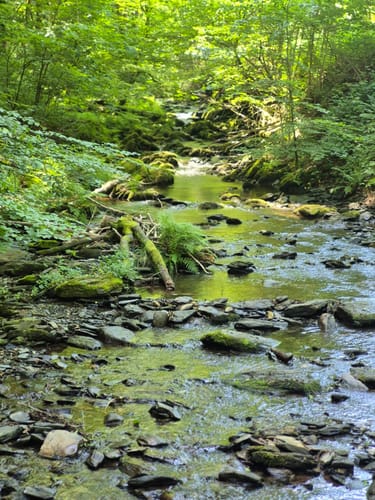 Erkensruhr Dorfrundgang