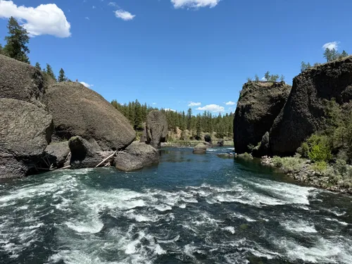SukeGrassRoots　FOREST 10 Best forest trails in Spokane | AllTrails