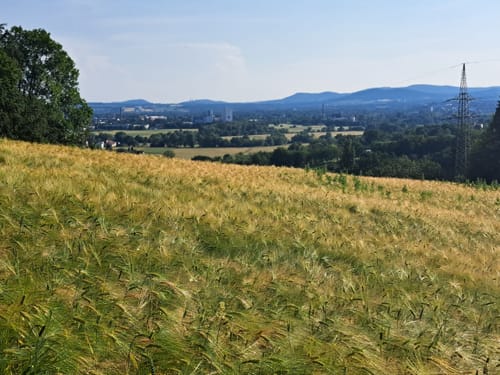 Rund um Wolfsanger-Hasenhecke