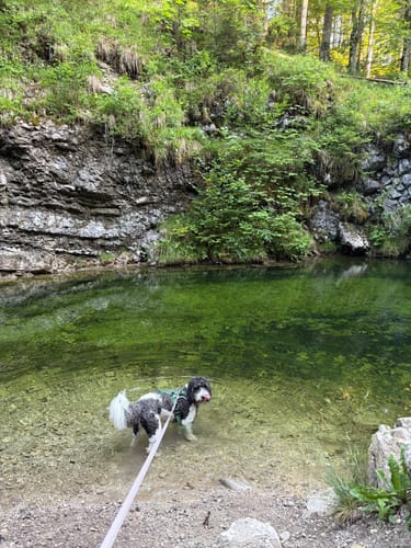 Klausenbachklamm und Zwerchenbergalm