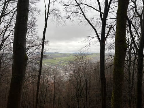 Wolfstein - Gipfelsteig zum Königsberg